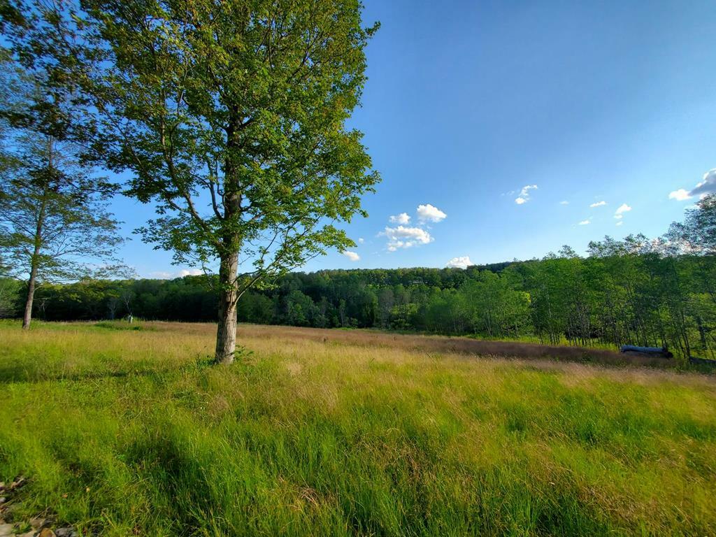 Property Photo:  0 Griffin Road  NY 14821 