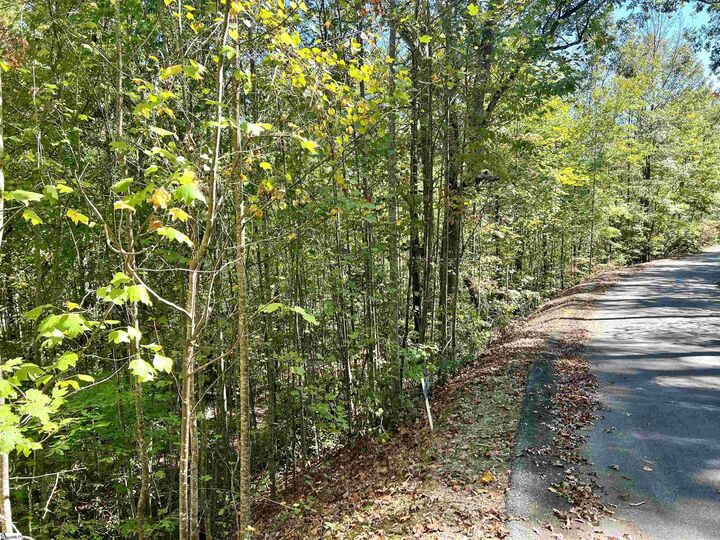 Property Photo: 124 Falcon Crest Way SC 29671
