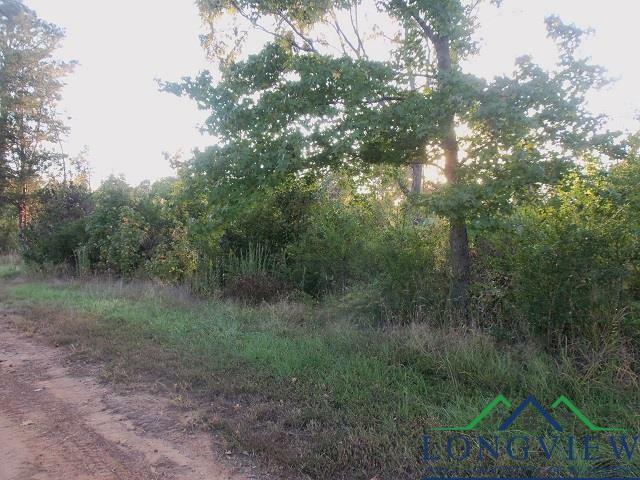 Property Photo:  Tbd Whiteside Lane Cr 1127 D  TX 75662 