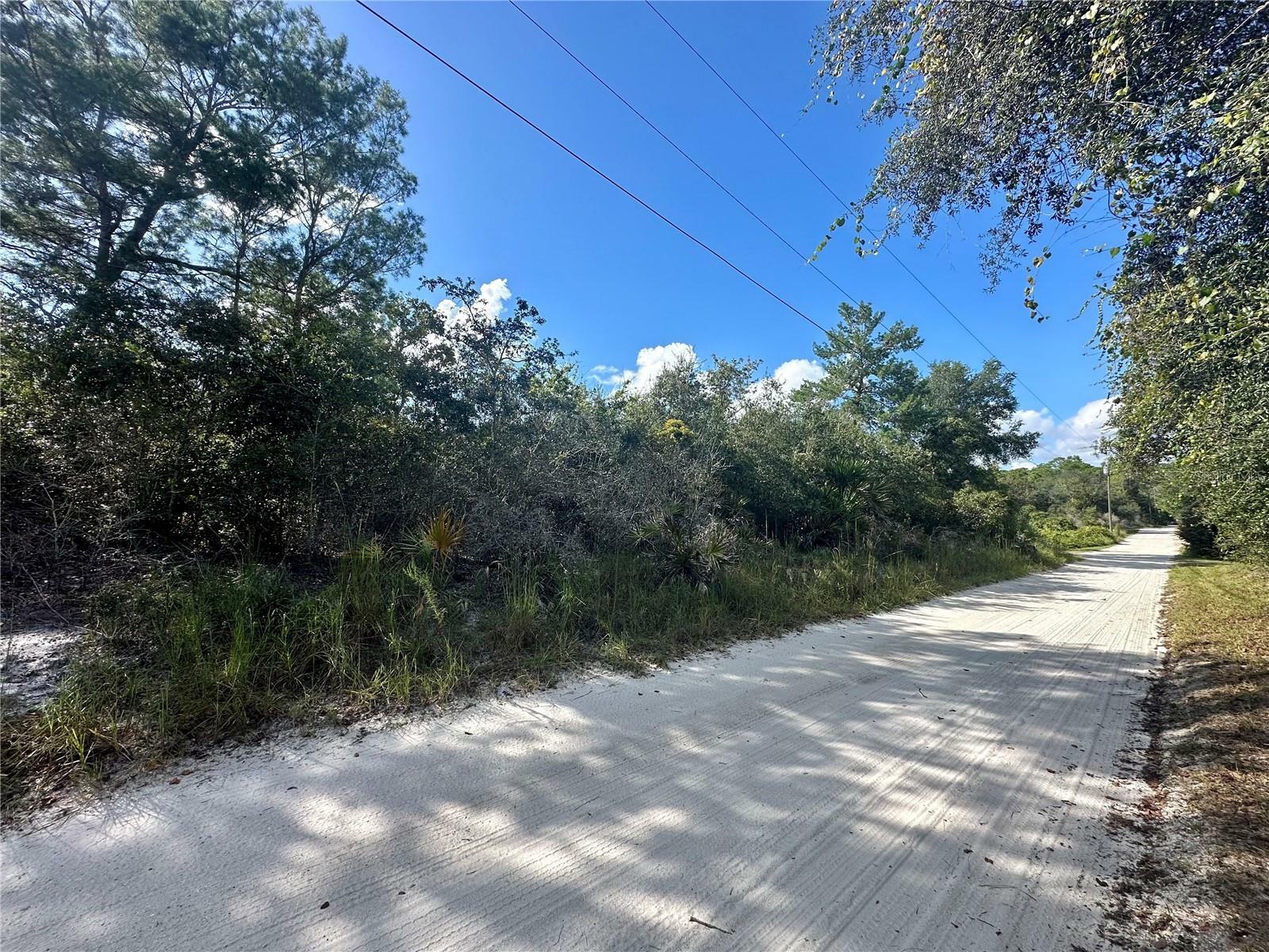 Property Photo:  Hon (Paper) Avenue  FL 32744 