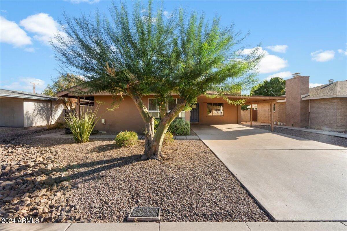 1237 E La Jolla Drive  Tempe AZ 85282 photo