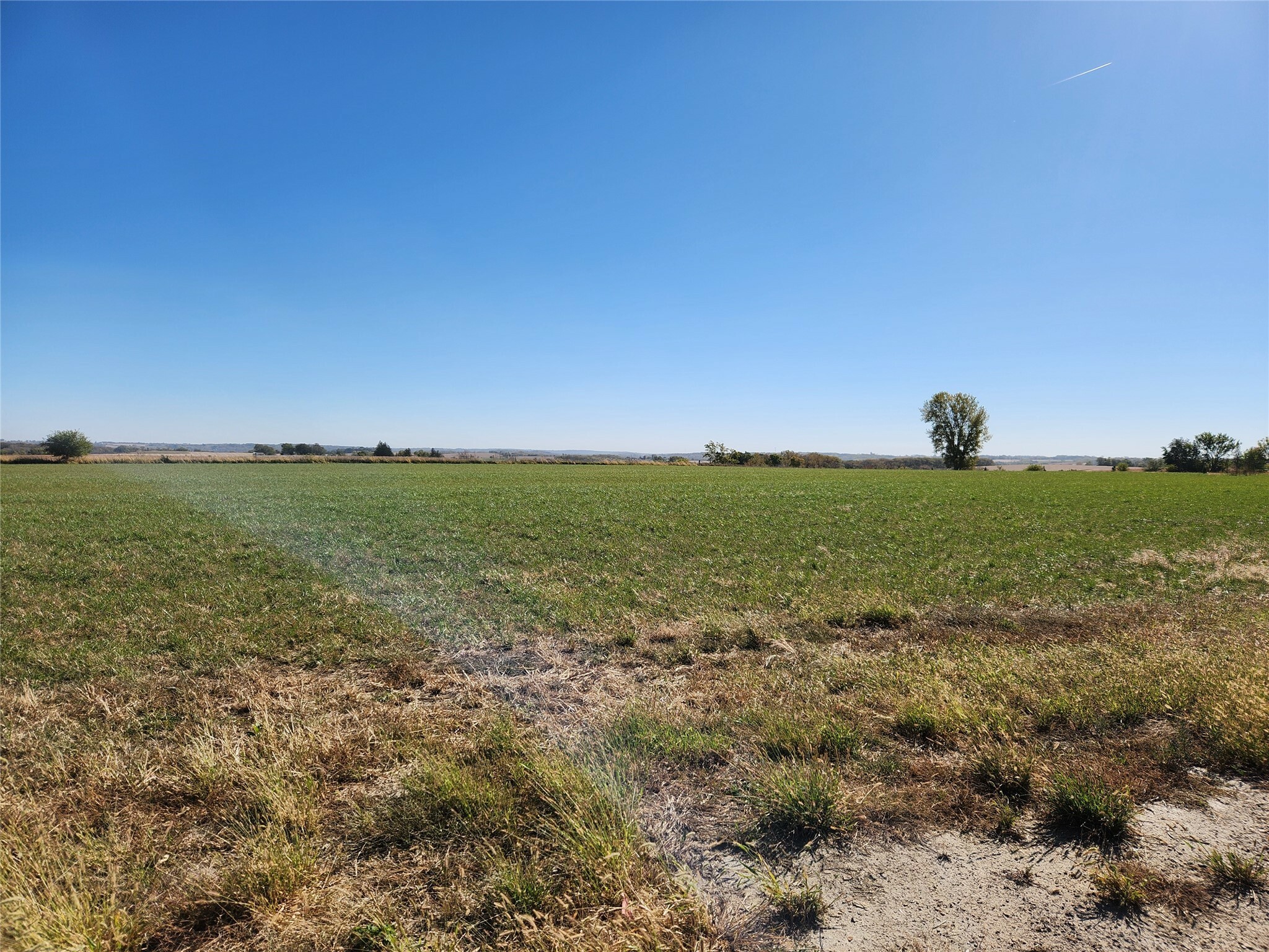 Lot #2 T15 Highway  Knoxville IA 50138 photo