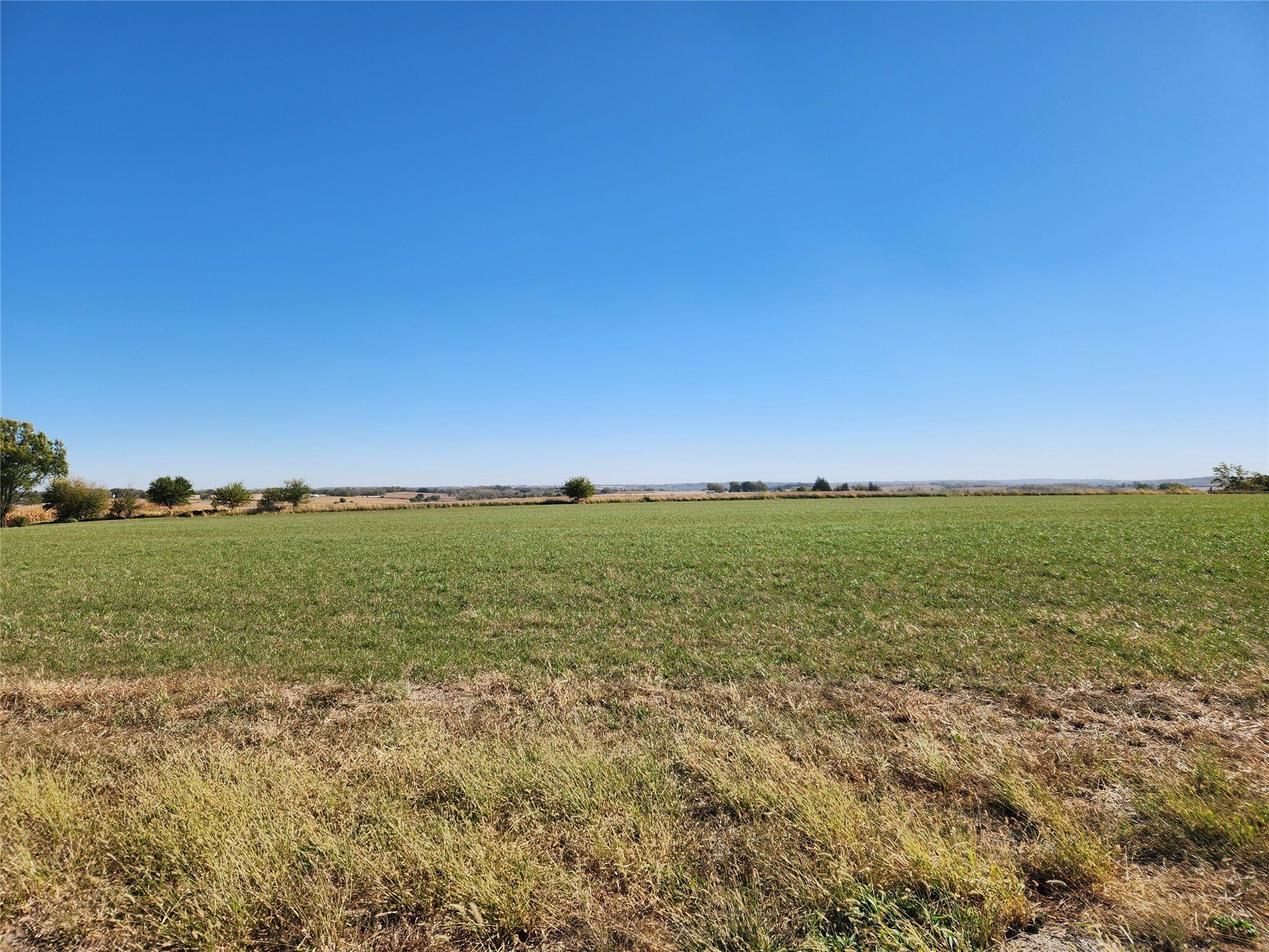 Property Photo:  Lot #1 T15 Highway  IA 50138 