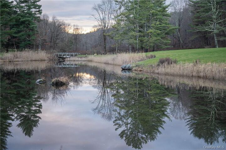 Property Photo: 165 Duell Hollow Road NY 12594