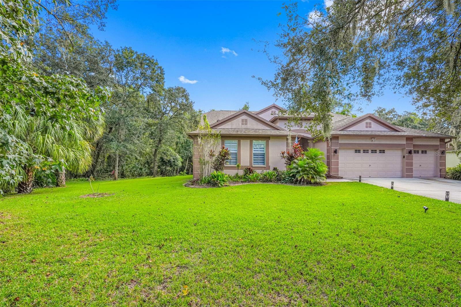 Property Photo:  12532 River Birch Drive  FL 33569 