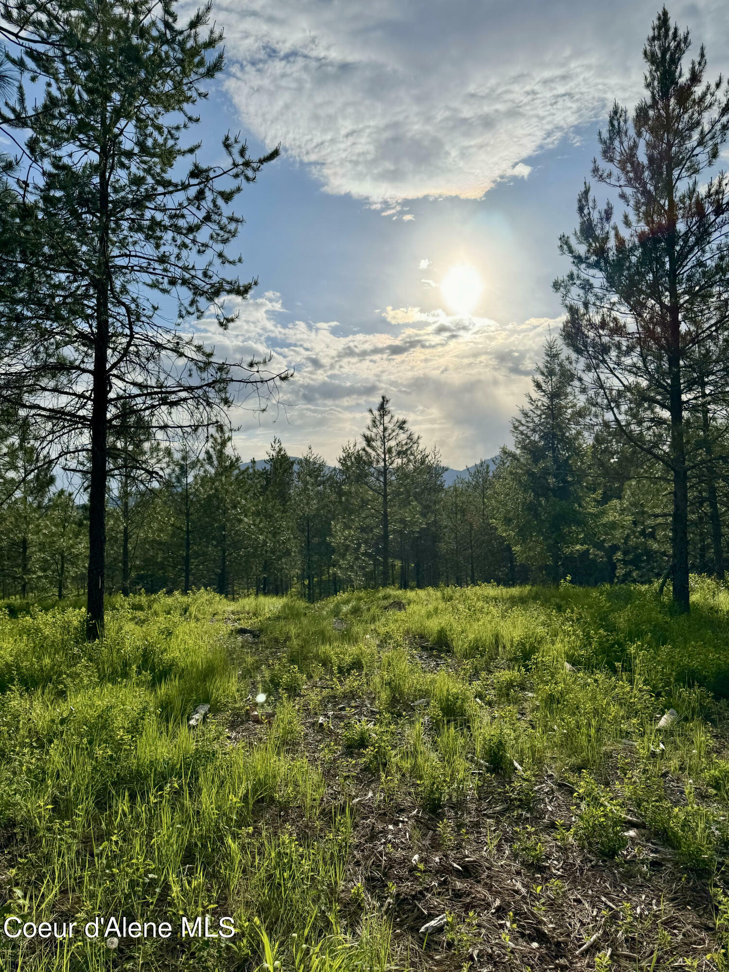 Nka Lot 2 Block 1 Aubrey Estates  Rathdrum ID 83858 photo