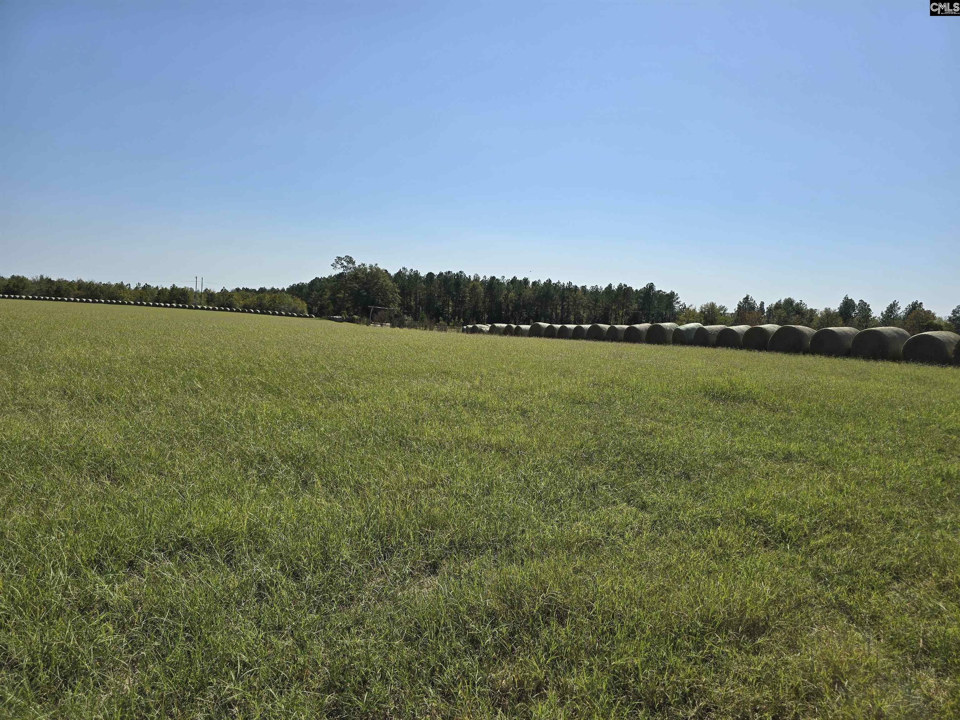 Property Photo:  991 Old Chalk Bed  SC 29006 