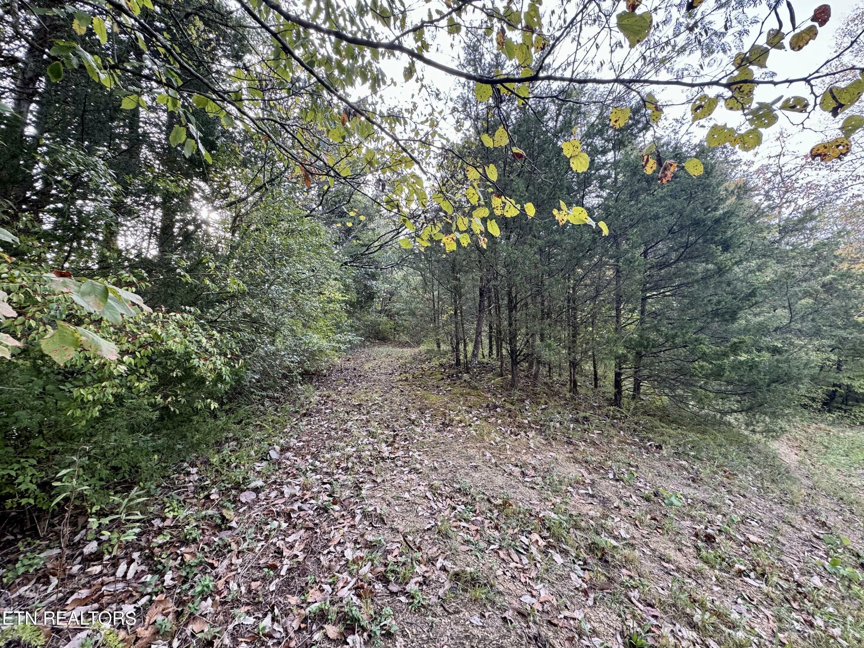 Property Photo:  Lot 19 Heatley Lane  TN 37862 