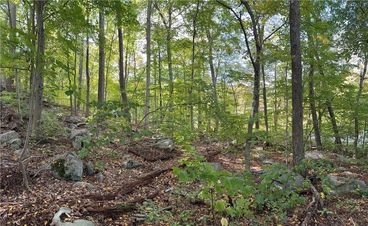 Property Photo: Lake Shore Road NY 10579