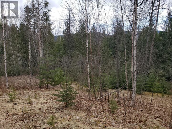 Property Photo:  657 Hoirup Road  BC V0E 1N1 