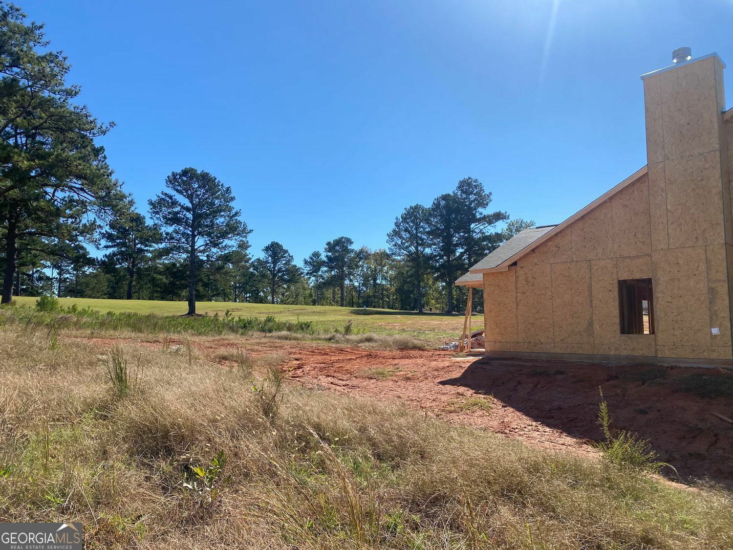 Property Photo:  1509 Cabin Creek Trail  GA 30223 