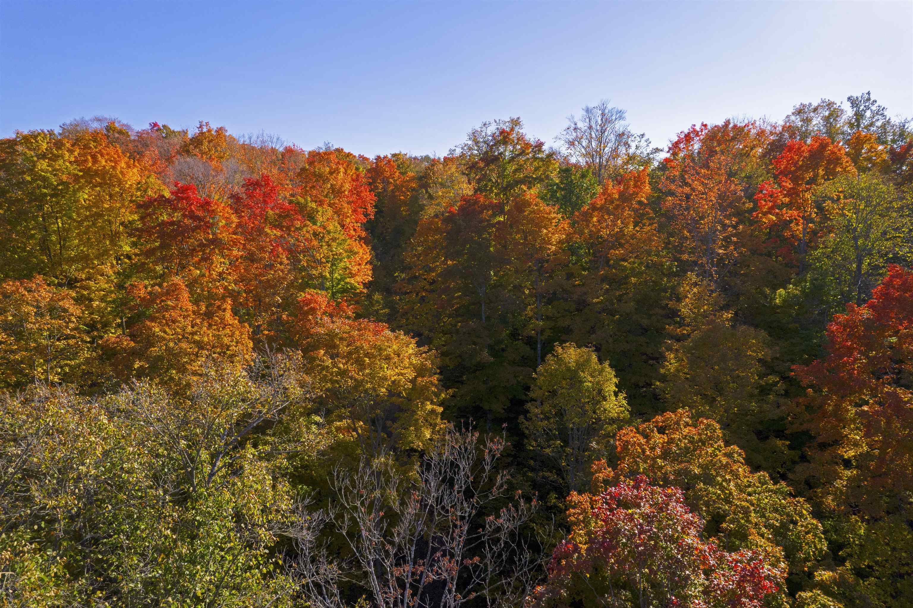 Property Photo:  8457 Wildwood  MI 49659 