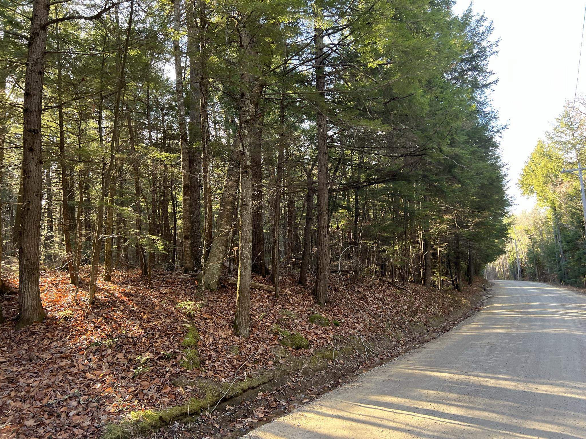 Property Photo:  Lot 7 Hermit Woods Road  NH 03269 