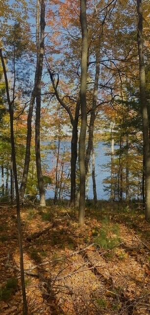 Property Photo: Lot 2 W South Road WI 54843