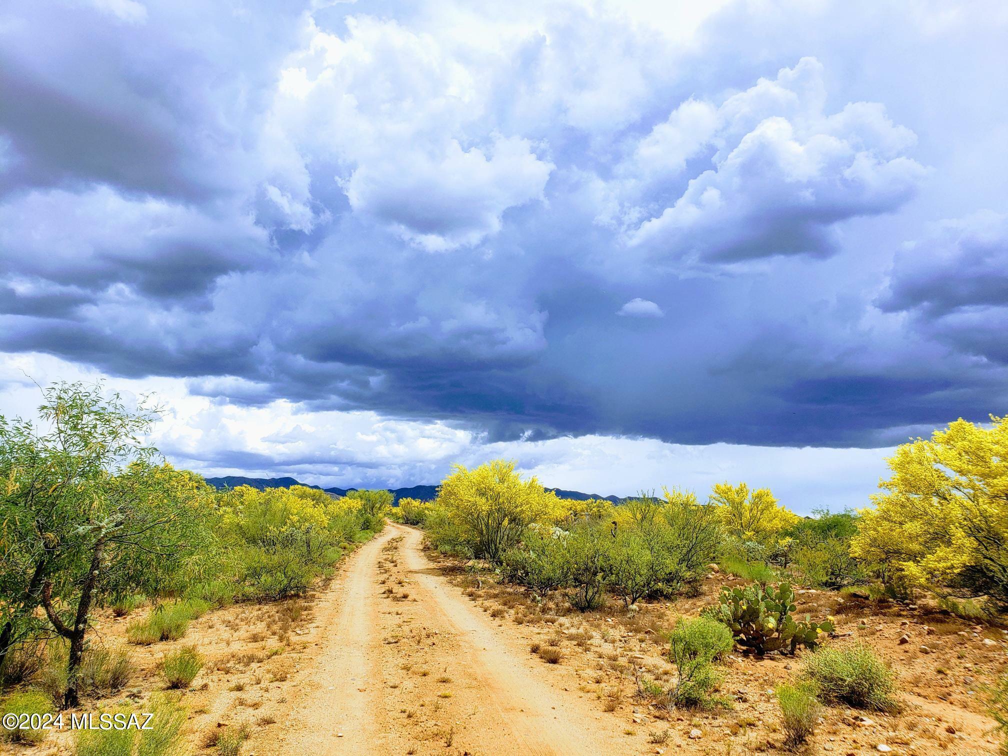 Property Photo: 16408 Stoval Avenue AZ 85736