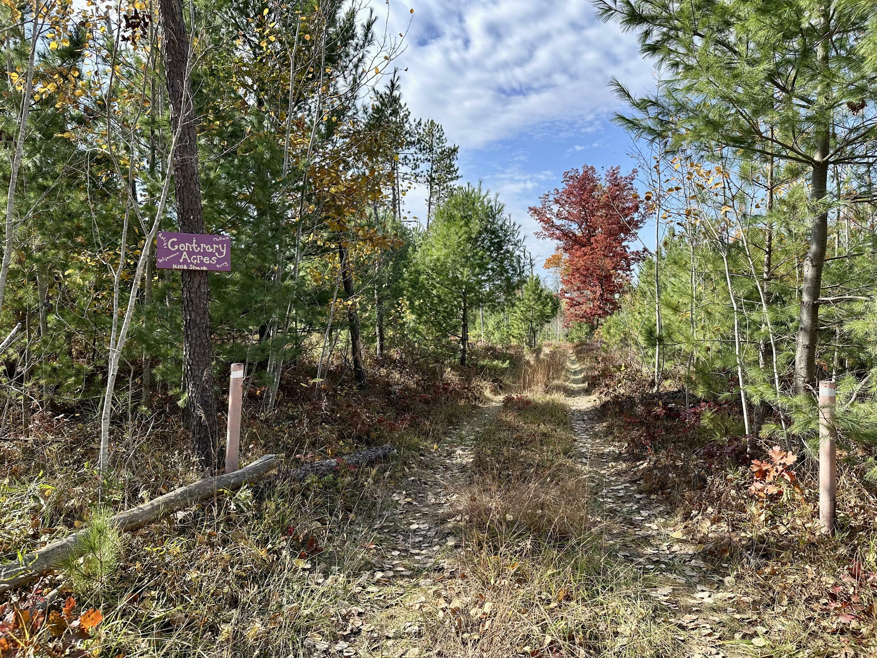 Property Photo:  16108 Shank Road 34.12 Acres  MI 49765 