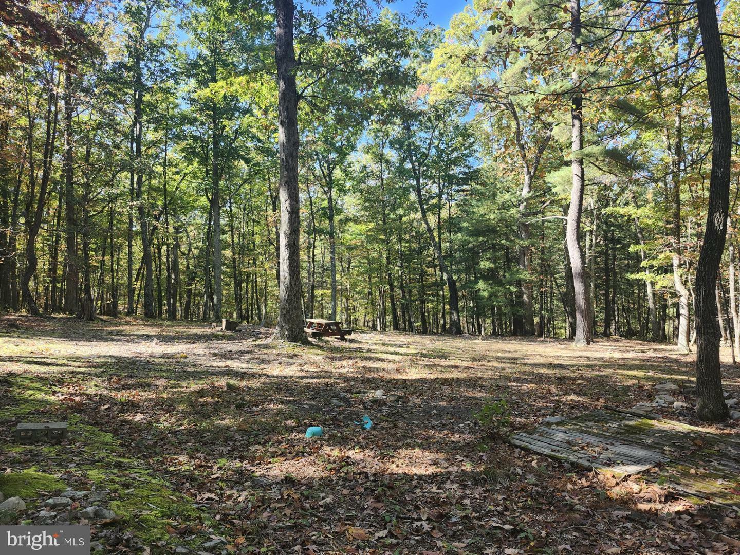 Property Photo: Mill Mountain Road WV 26757