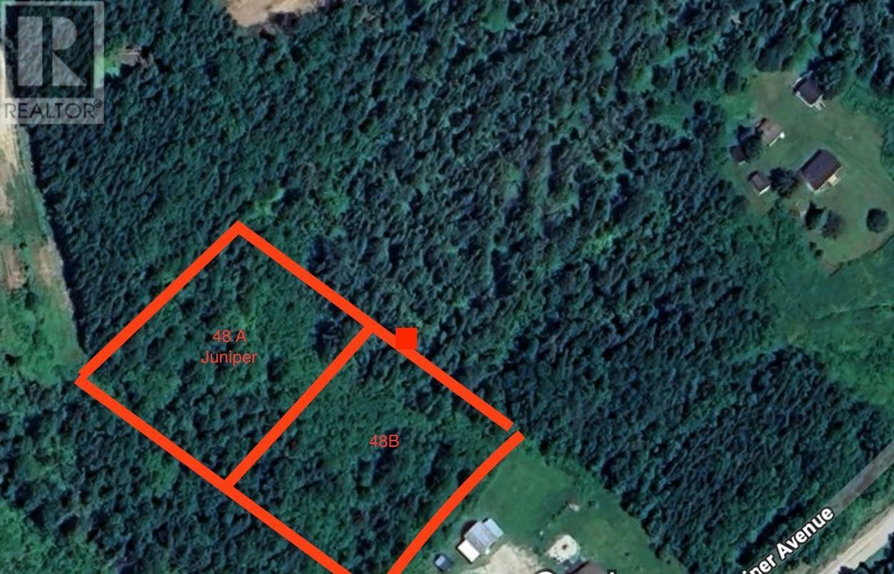 48A Juniper Avenue  Cormack NL A8A 2M7 photo