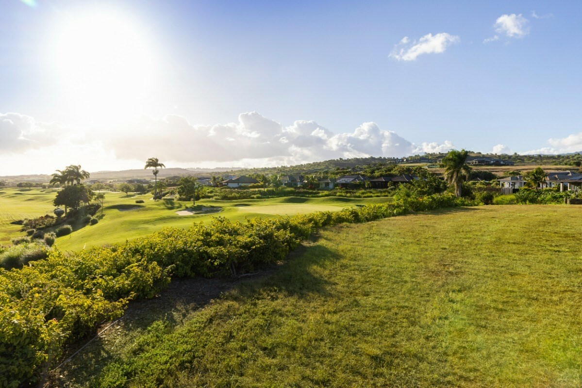 Property Photo:  Kainani Place  HI 96756 