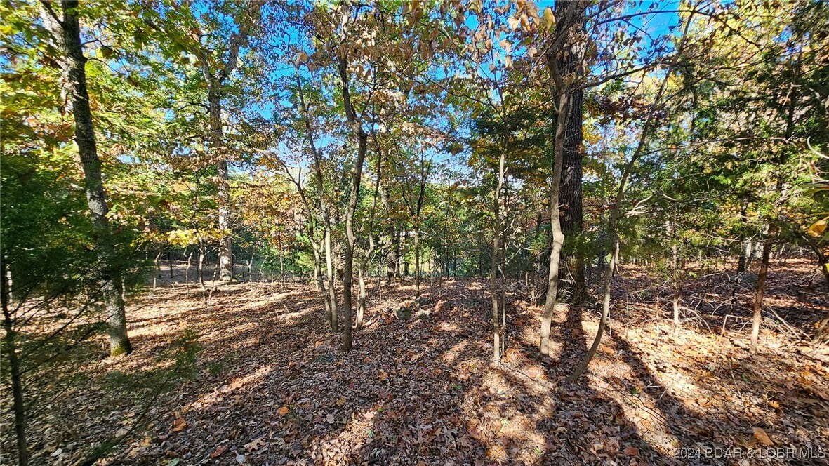 Property Photo:  Lot #1387 Via Bella Vista Court  MO 65079 