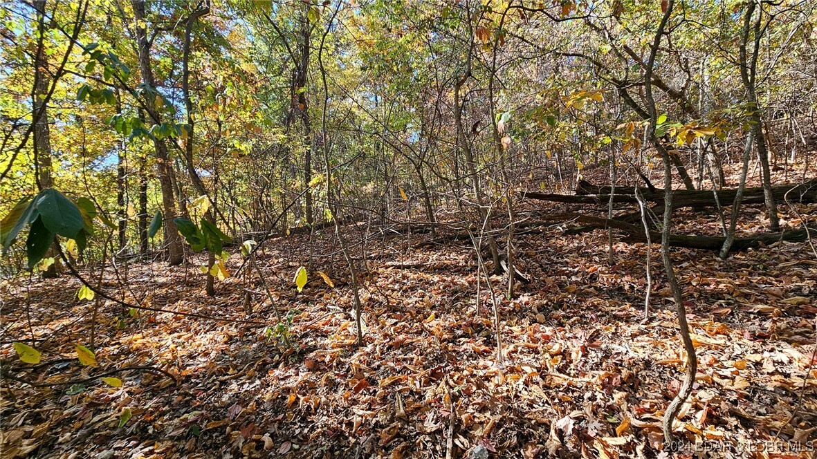 Property Photo:  Lot #1403A Via Del Lago Drive  MO 65079 