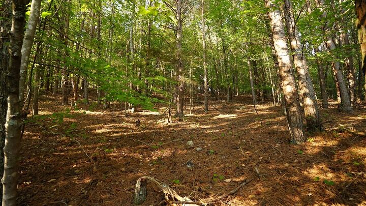 Property Photo:  Lot 5 Eden Park Drive  GA 30740