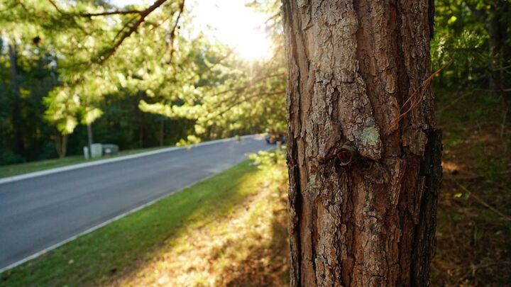 Property Photo: Lot 5 Eden Park Drive GA 30740