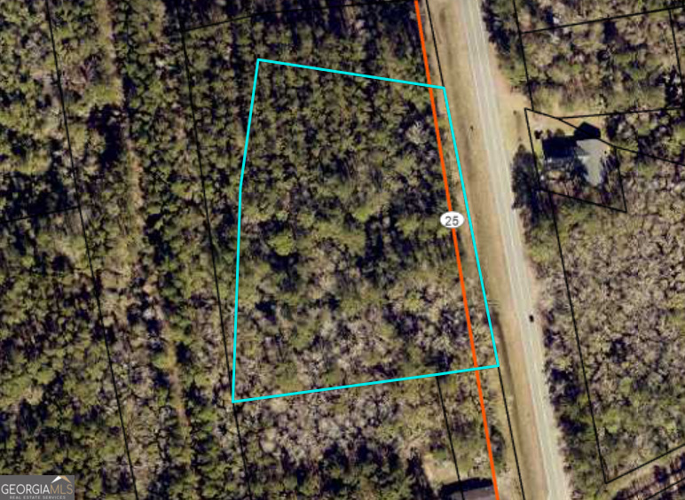 Property Photo:  V/L Cornelia Armstrong Tract 1 &Amp 2  GA 31569 