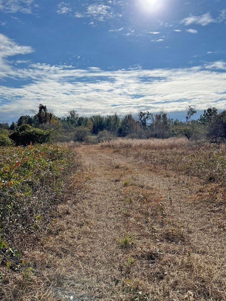 Property Photo: 00 SW Cr 249 FL 32052