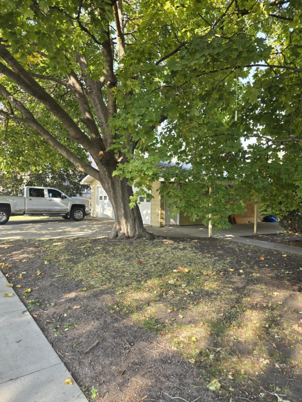 Property Photo:  1020 Turner Street  MT 59802 