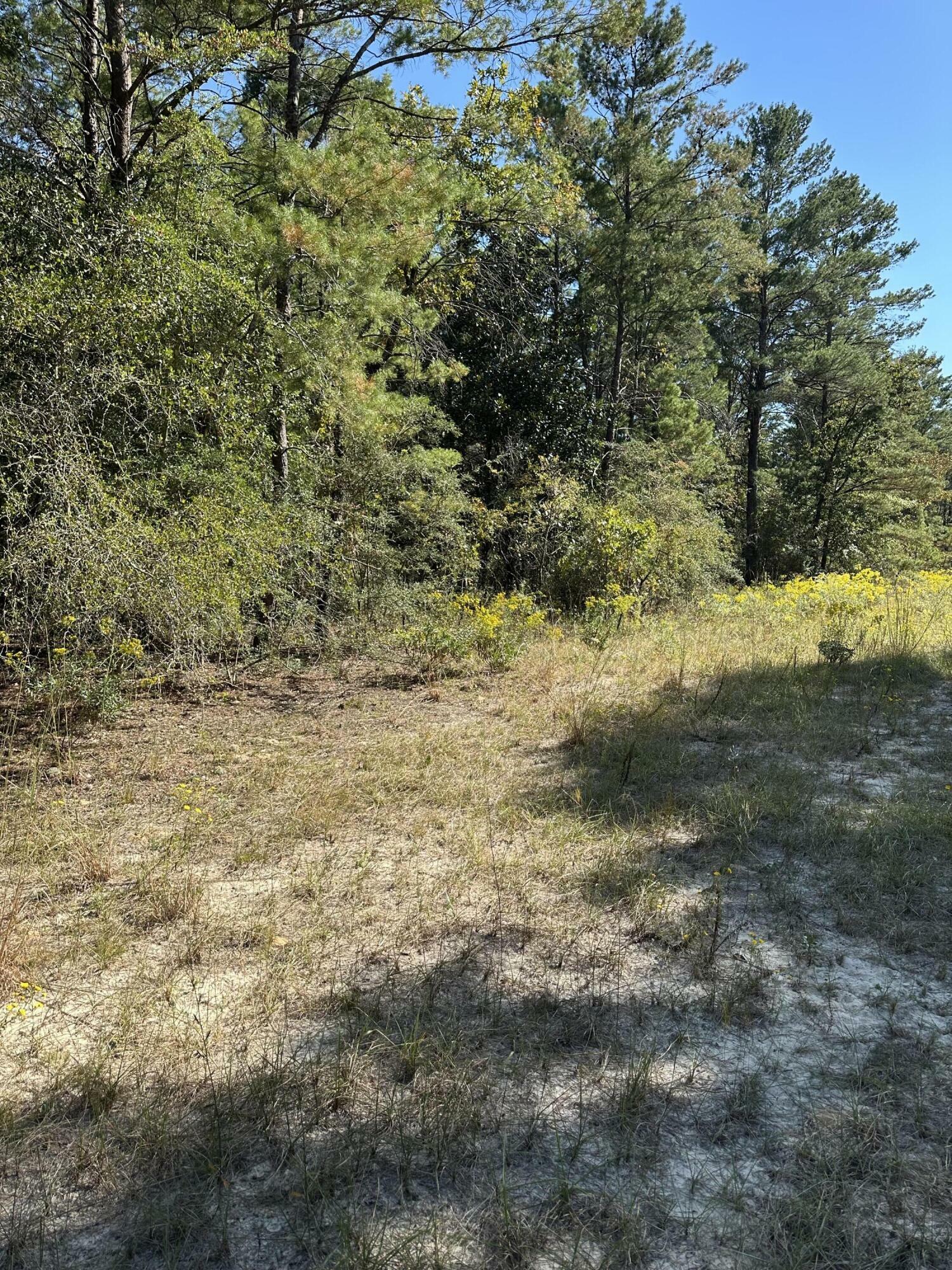 Property Photo:  134 Post Oak Road  FL 32433 