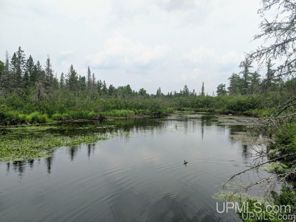 Property Photo:  40 Acres Fh 16 Highway  MI 49935 