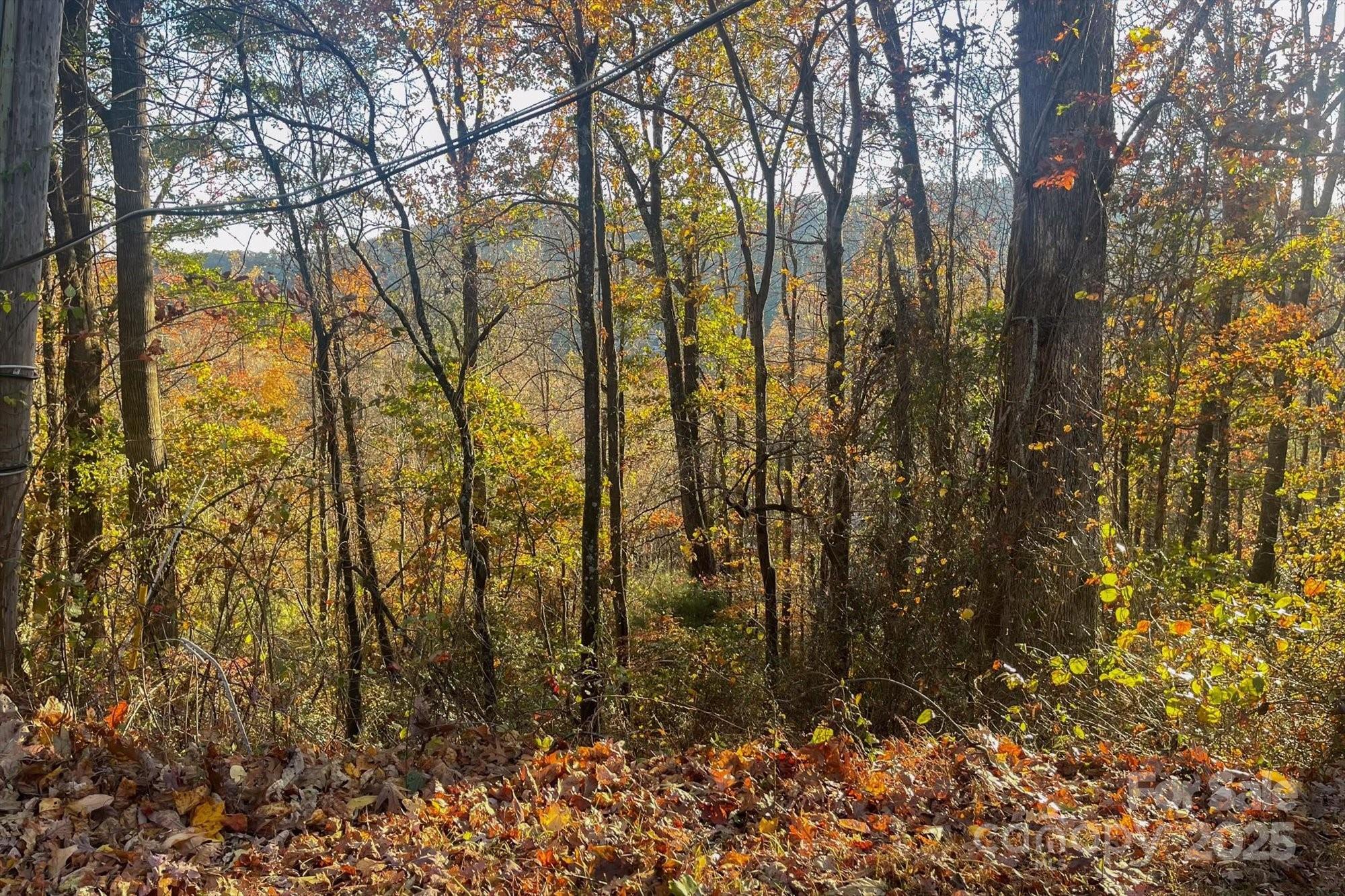 Property Photo: 000 Rising View Drive 114 NC 28791
