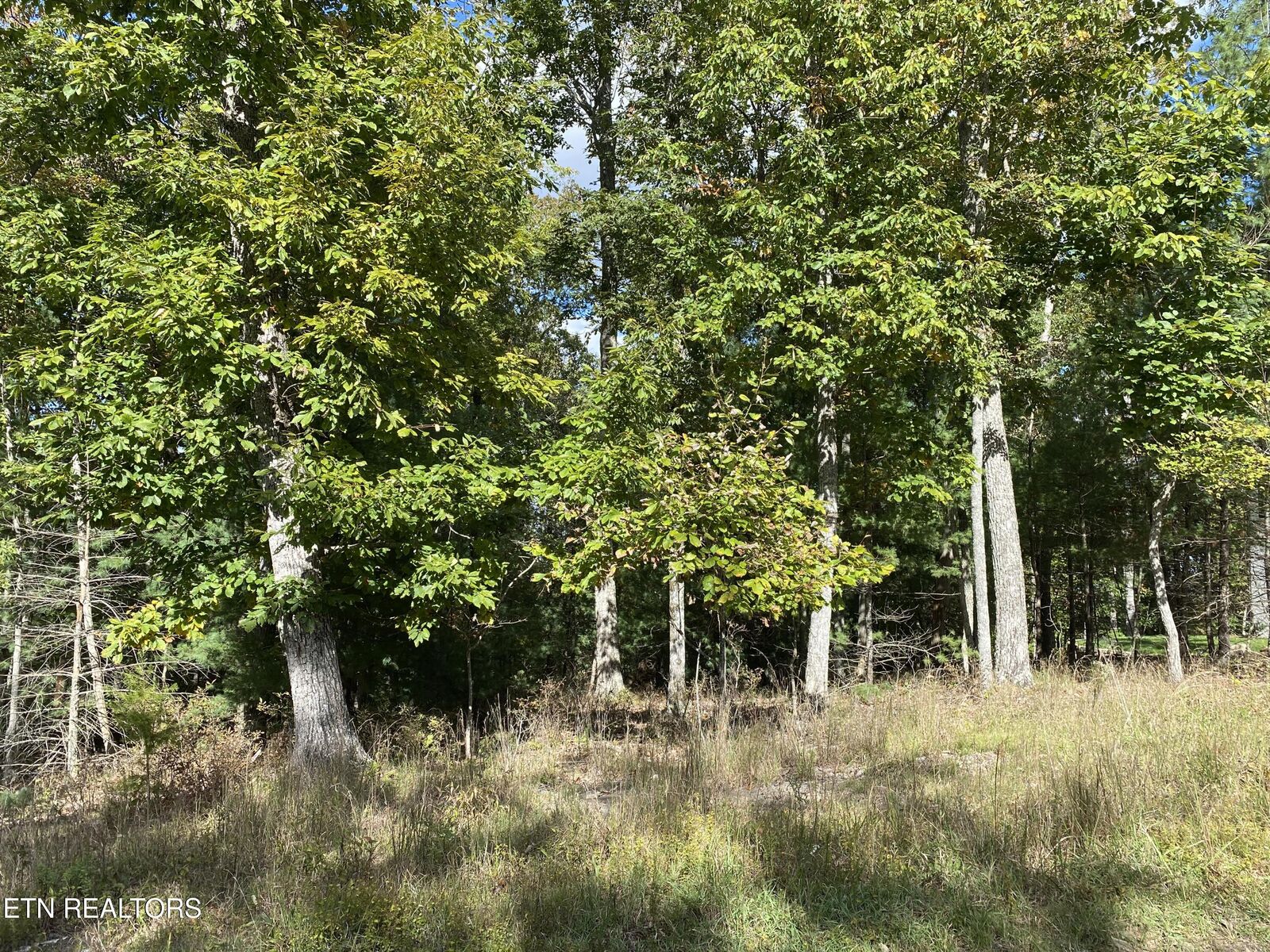 Property Photo:  112 Hanning Drive  TN 38558 