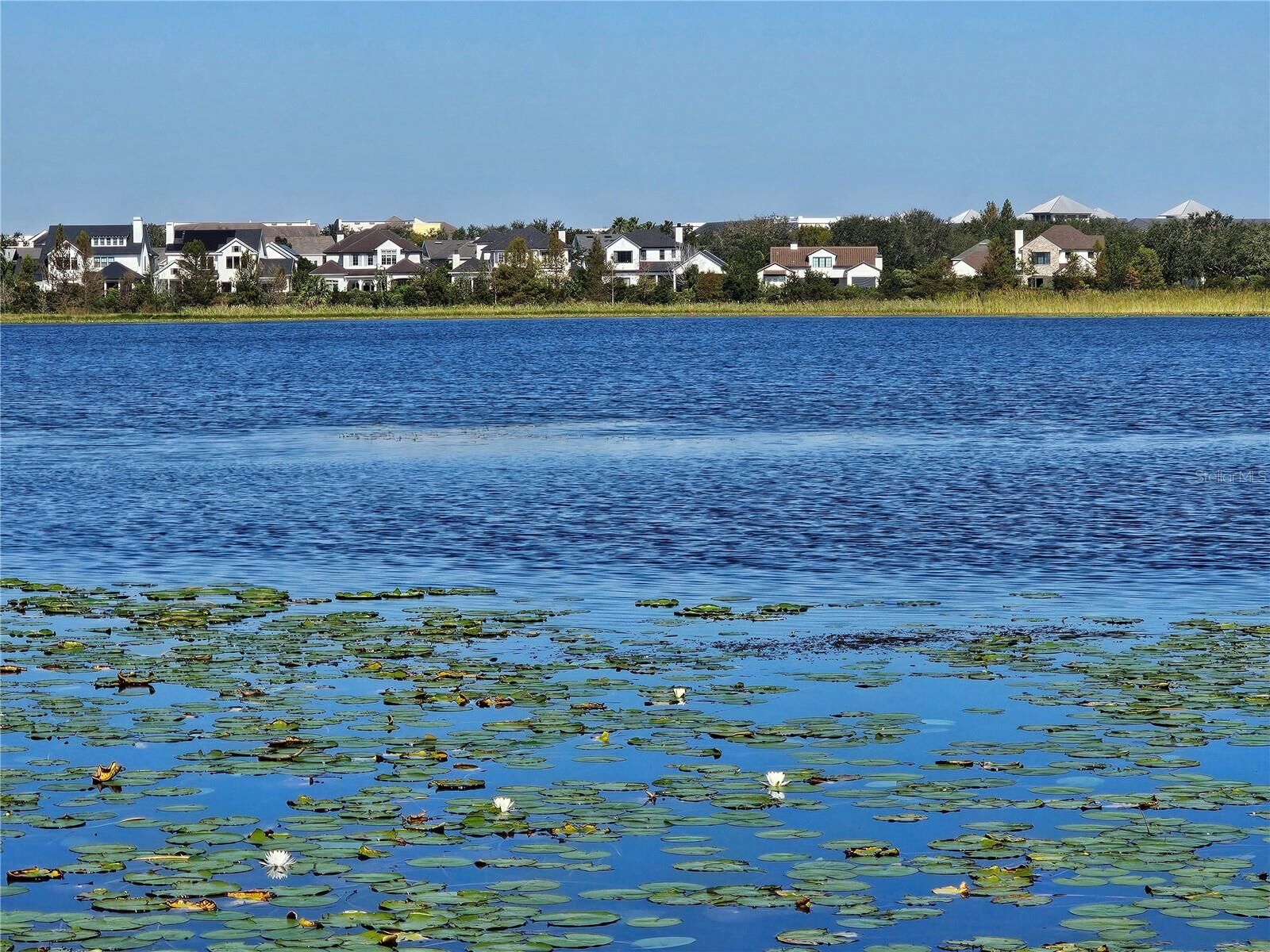Property Photo:  4715 Beach Boulevard  FL 32803 