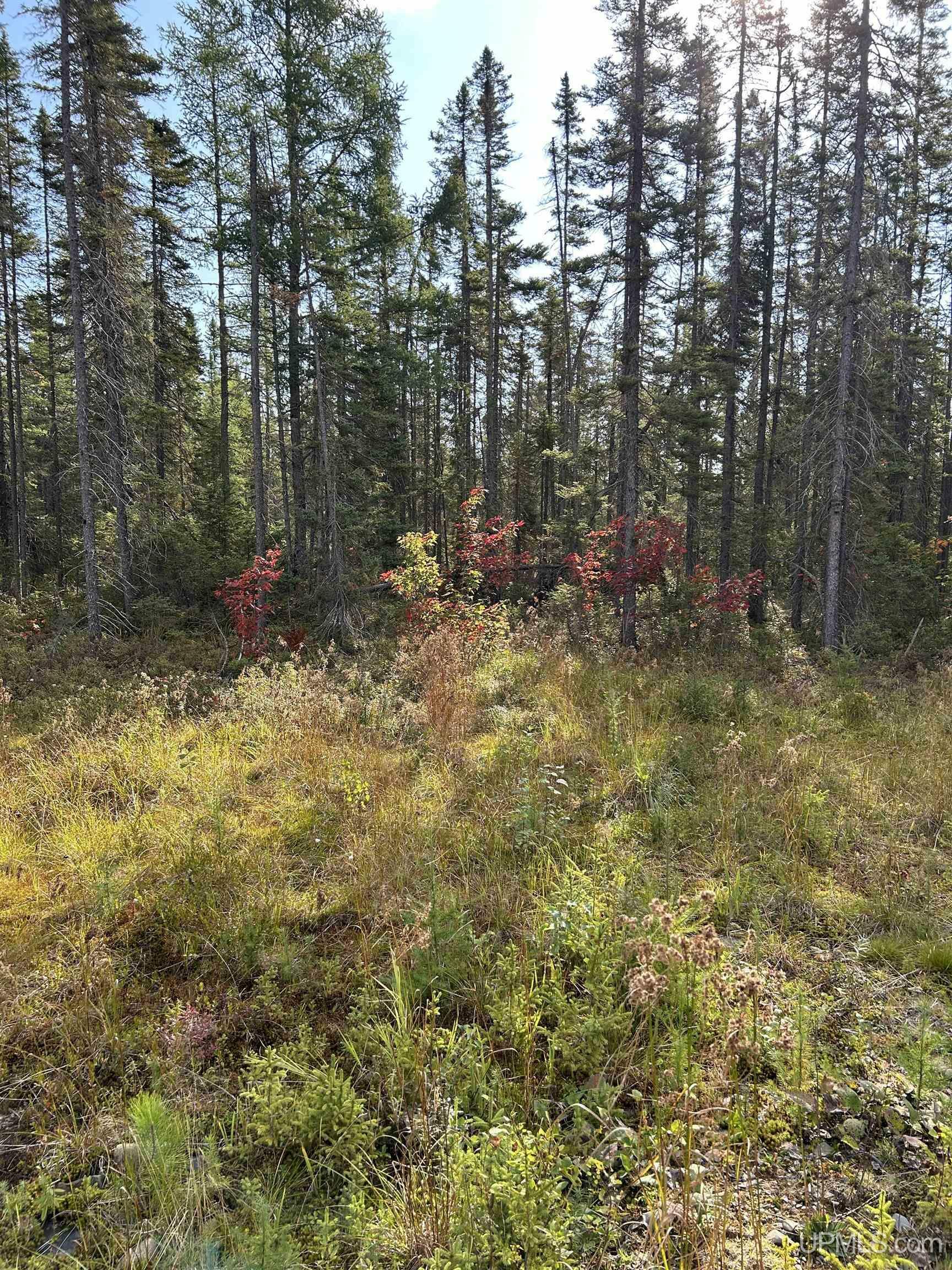 Property Photo: 2662 Acres Marquette County MI 49849