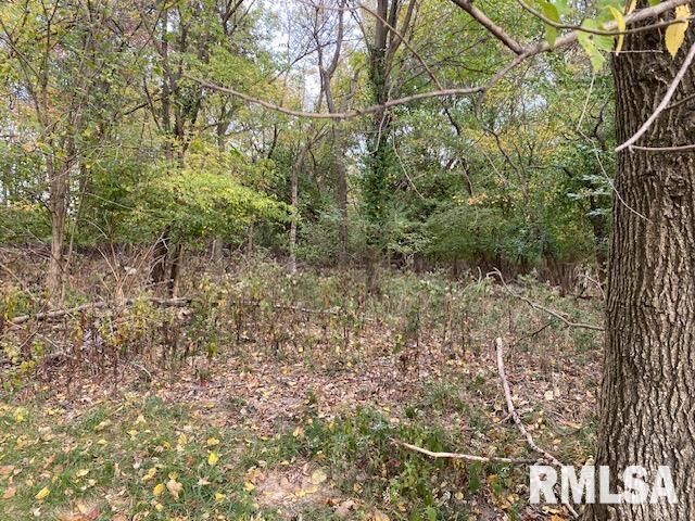 Property Photo: 000 Barnett Avenue IL 62918