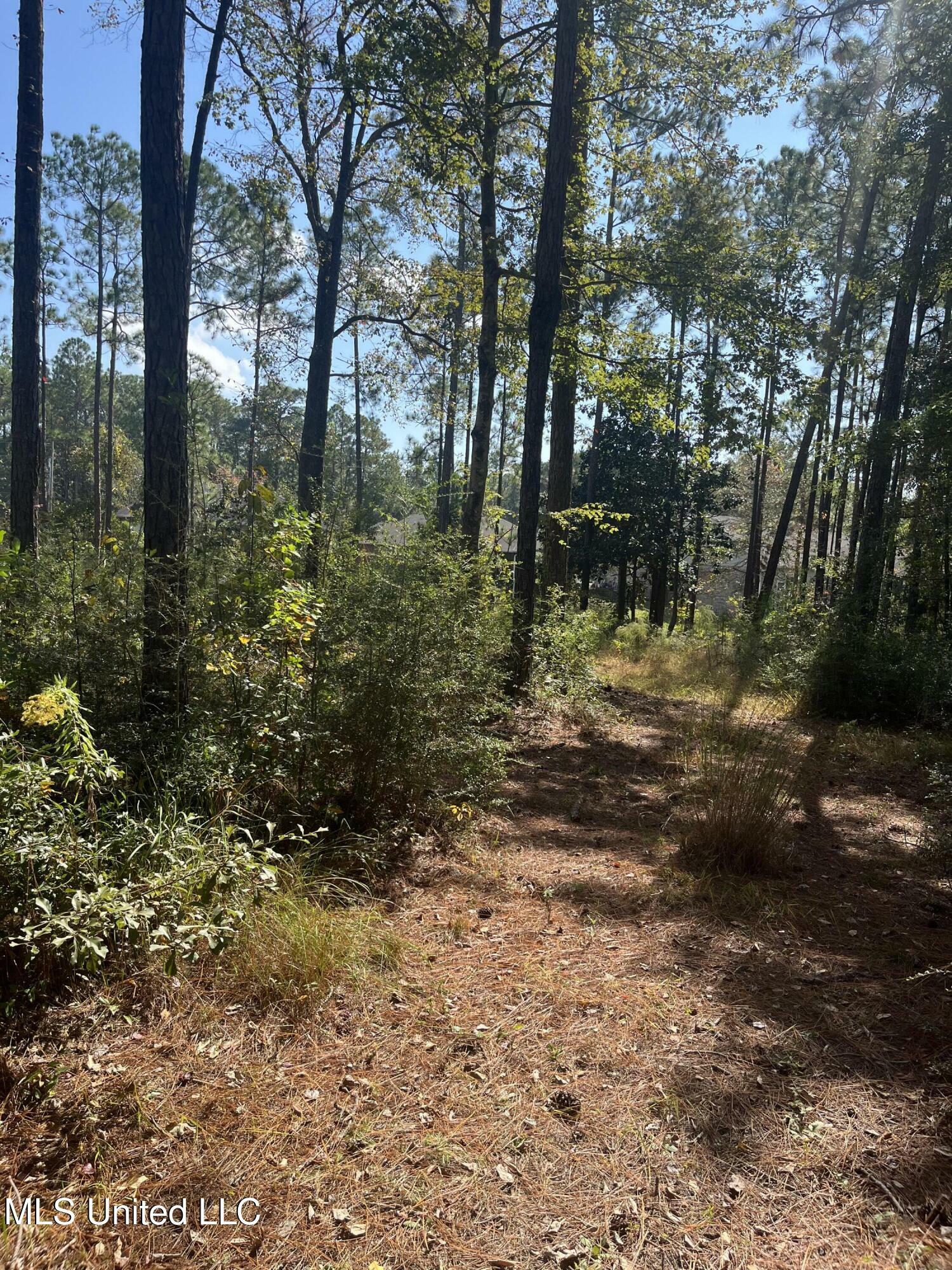 Property Photo:  Lot 79&Amp80 Windward Drive  MS 39553 