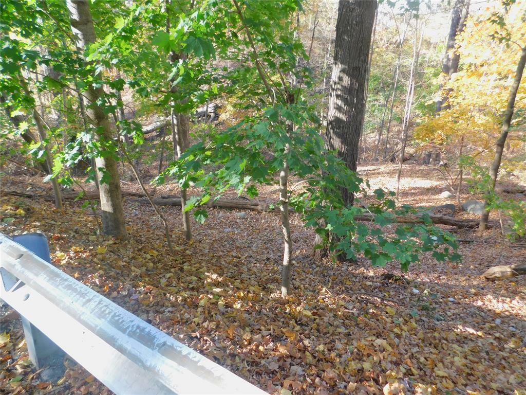 Property Photo:  Lot 11 Ash Street  NY 10537 