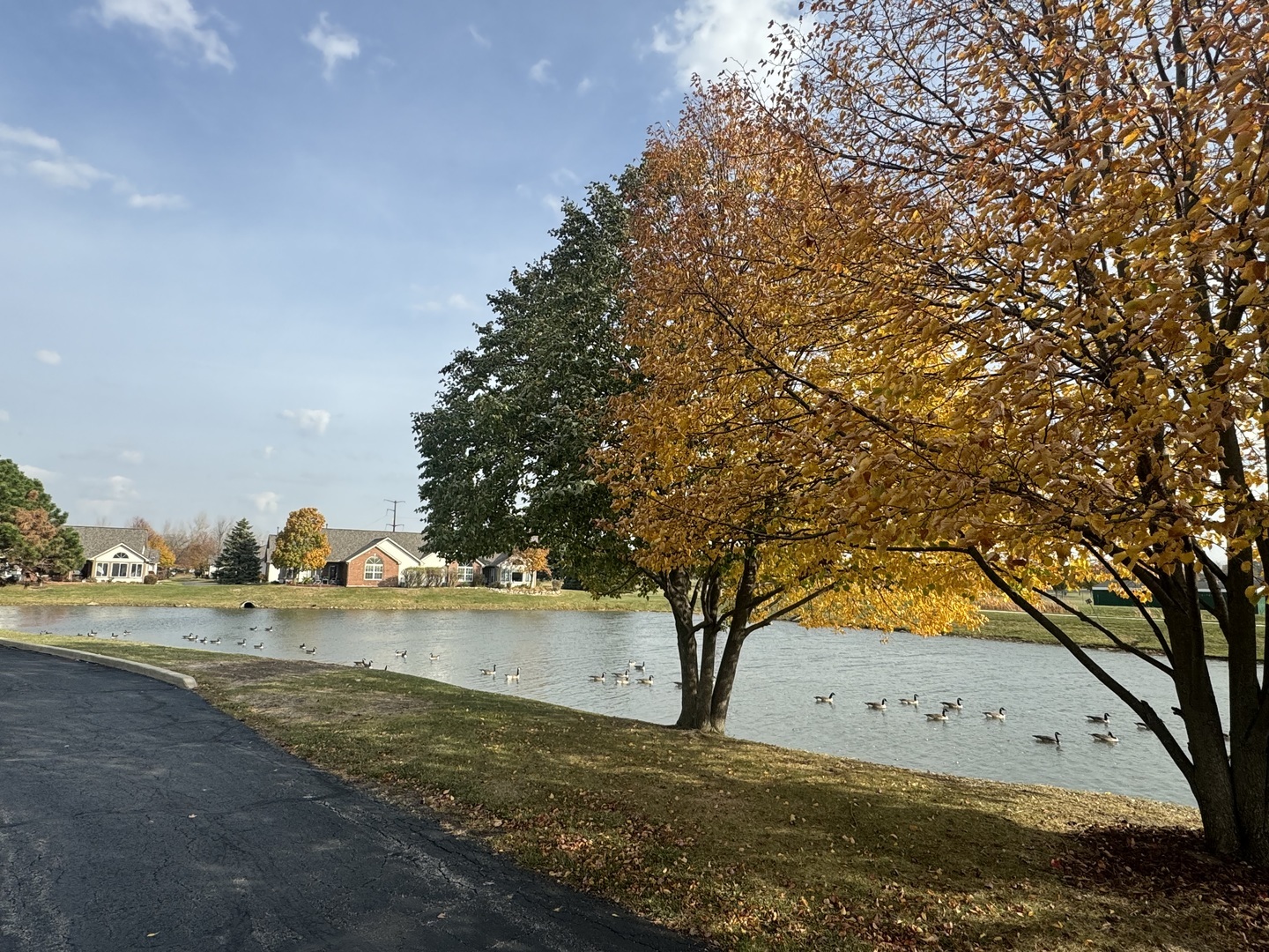 Property Photo:  407 Stonegate Way  IL 60950 