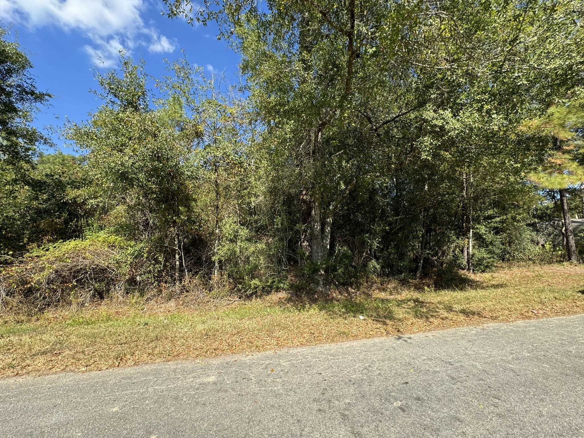 Property Photo:  2343 Linda  TX 77632 