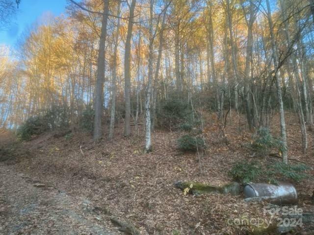 000 Stamey Branch Road  Newland NC 28657 photo