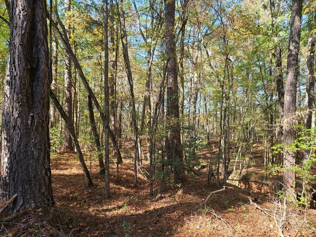 Property Photo:  Lot 1N Mountain Laurel Drive  GA 31831 