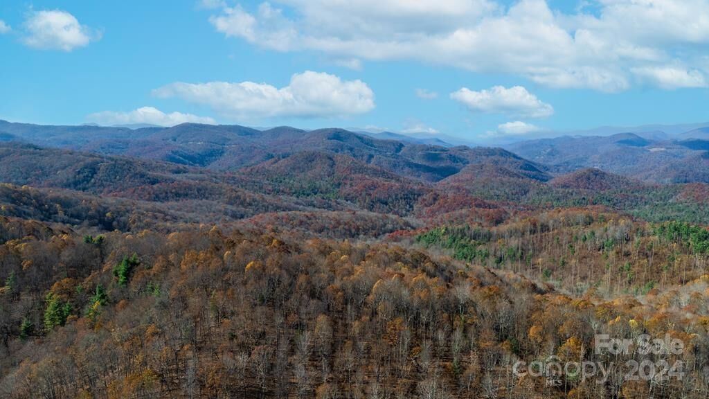 Property Photo:  1767 Rock Bridge Road  NC 28783 