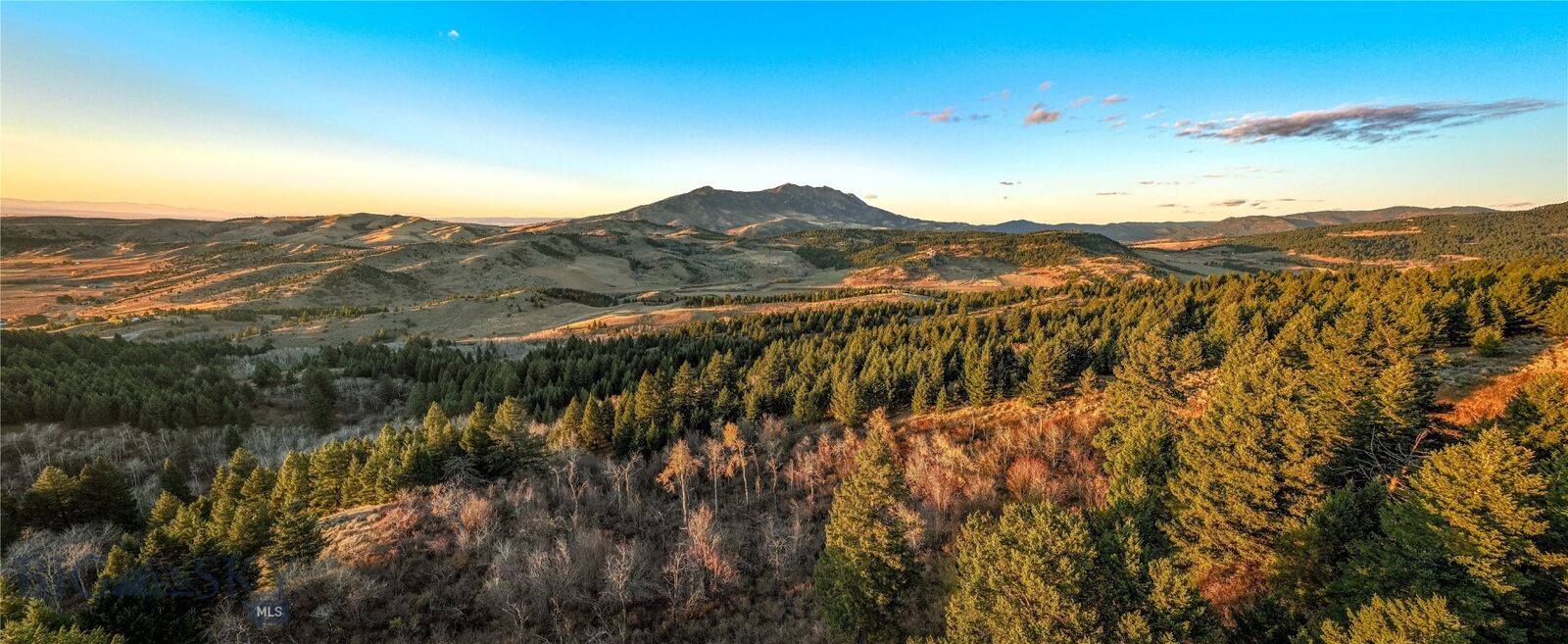 Property Photo:  495 Moffit Gulch Road  MT 59715 