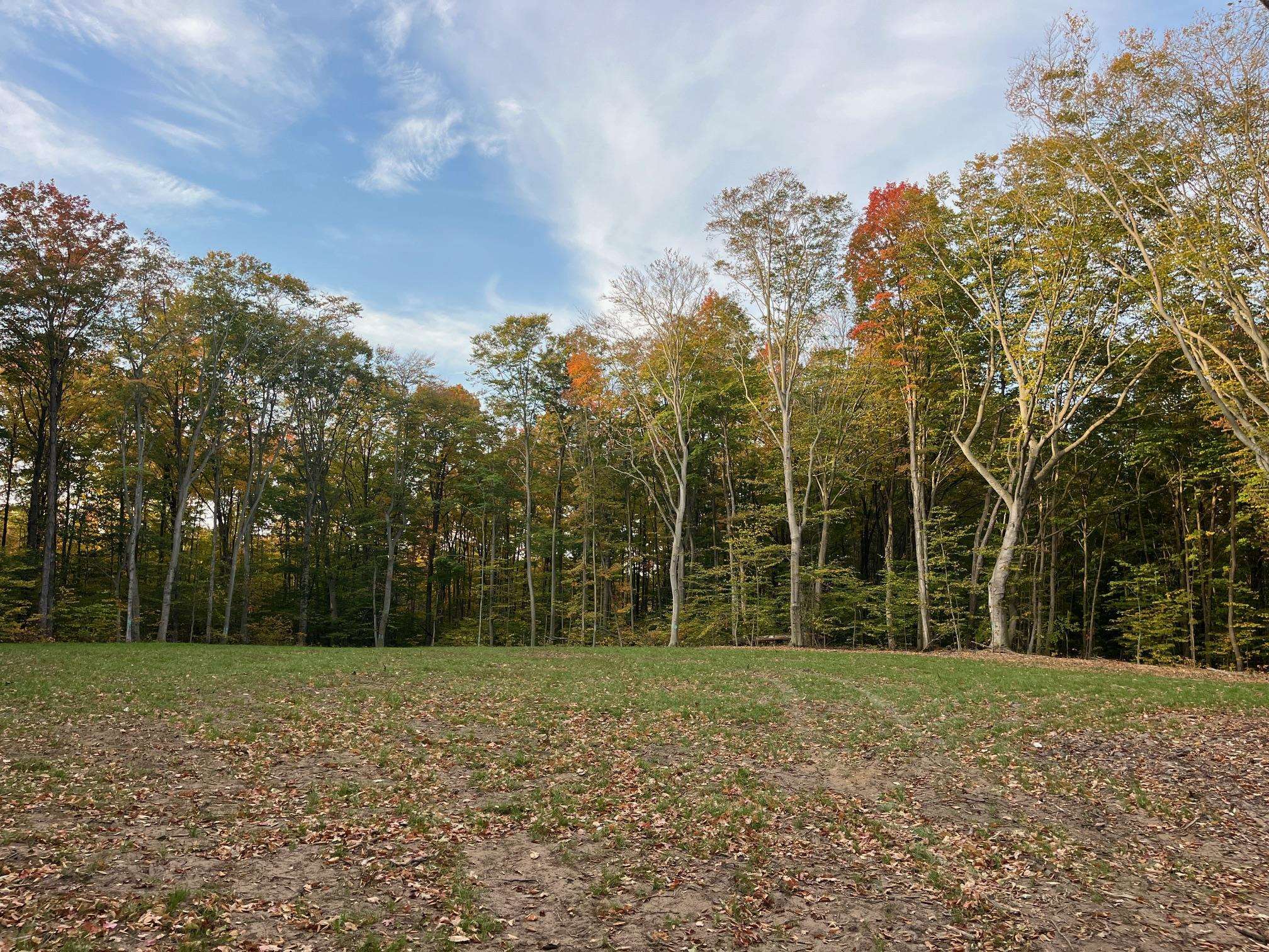 Property Photo:  03 S Bright Road  MI 49664 