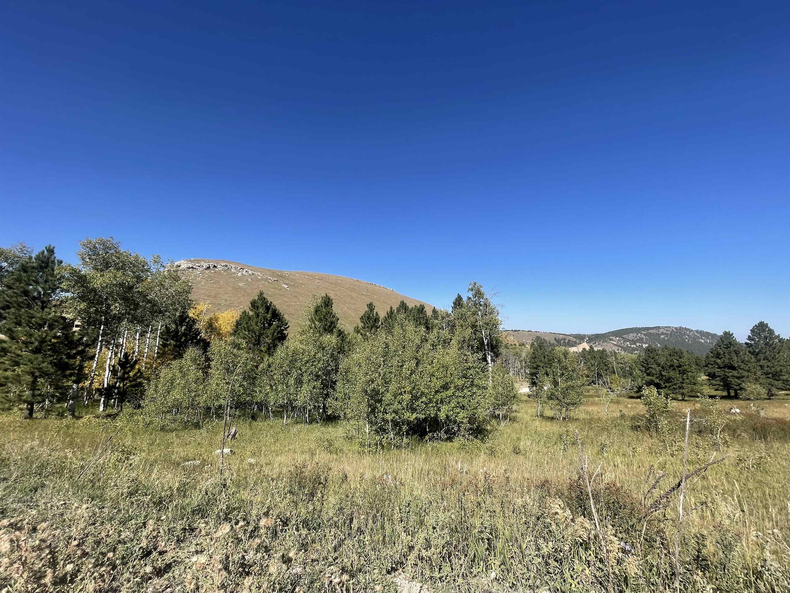 Property Photo:  Lot 1 Majestic Heights Road  SD 57785 