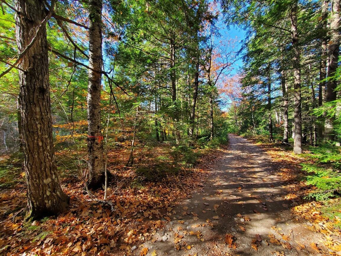 Property Photo:  0 Sandy Beach Road  ME 04622 