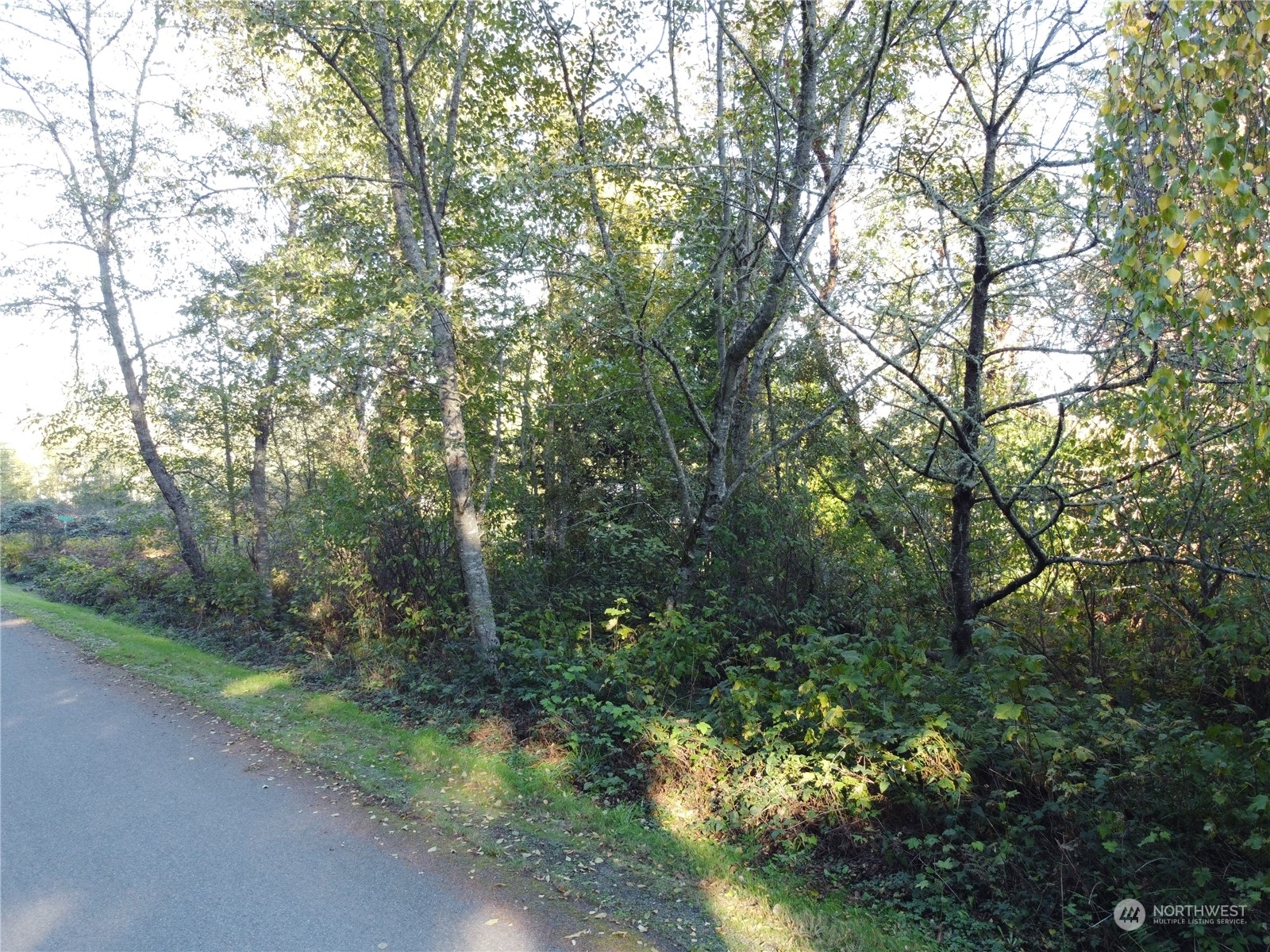 Property Photo: 0 Lylus Lane WA 98339