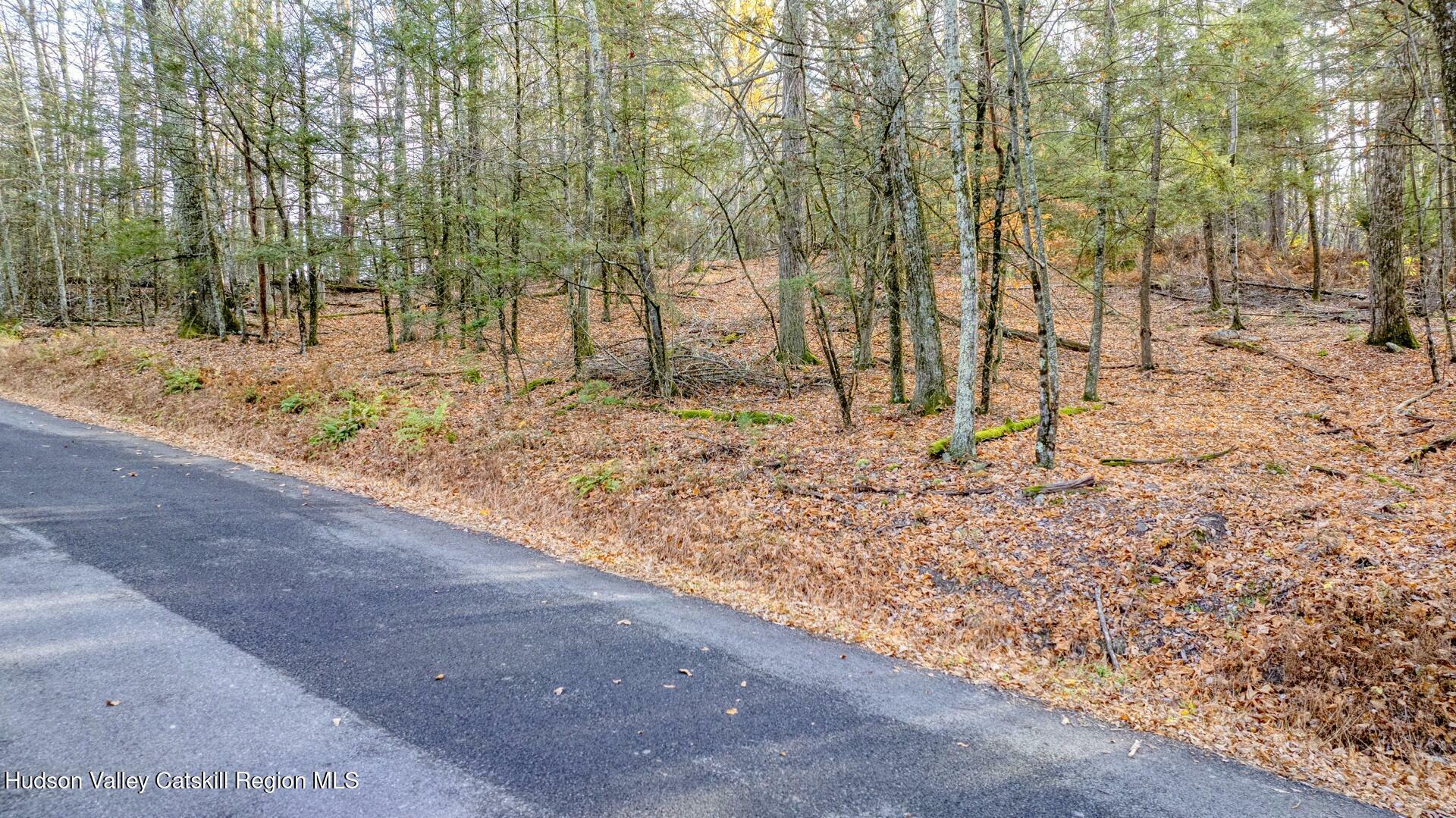 Property Photo:  Tbd Cherry Hill Lot #3  NY 12484 